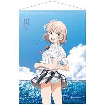 やはり俺の青春ラブコメはまちがっている。続ドレス 等身大タペストリー ３点セット 6月事後発売】【特典付き】「やはり俺の青春ラブコメはまちがっ